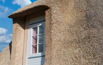 Winnal Common thatch roof disadvantages