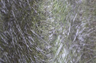 Winnal Common fibreglass roof work