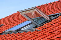 Winnal Common roof window