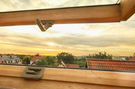 rated Winnal Common roof window companies